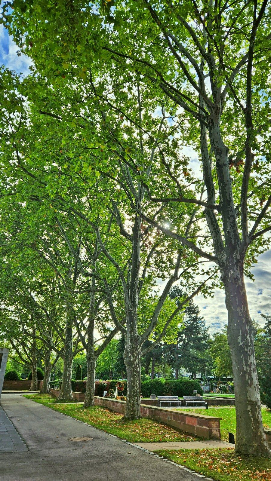 Ansicht des Kleinfeldfriedhofs Fellbach – Kleinfeldfriedhof Fellbach